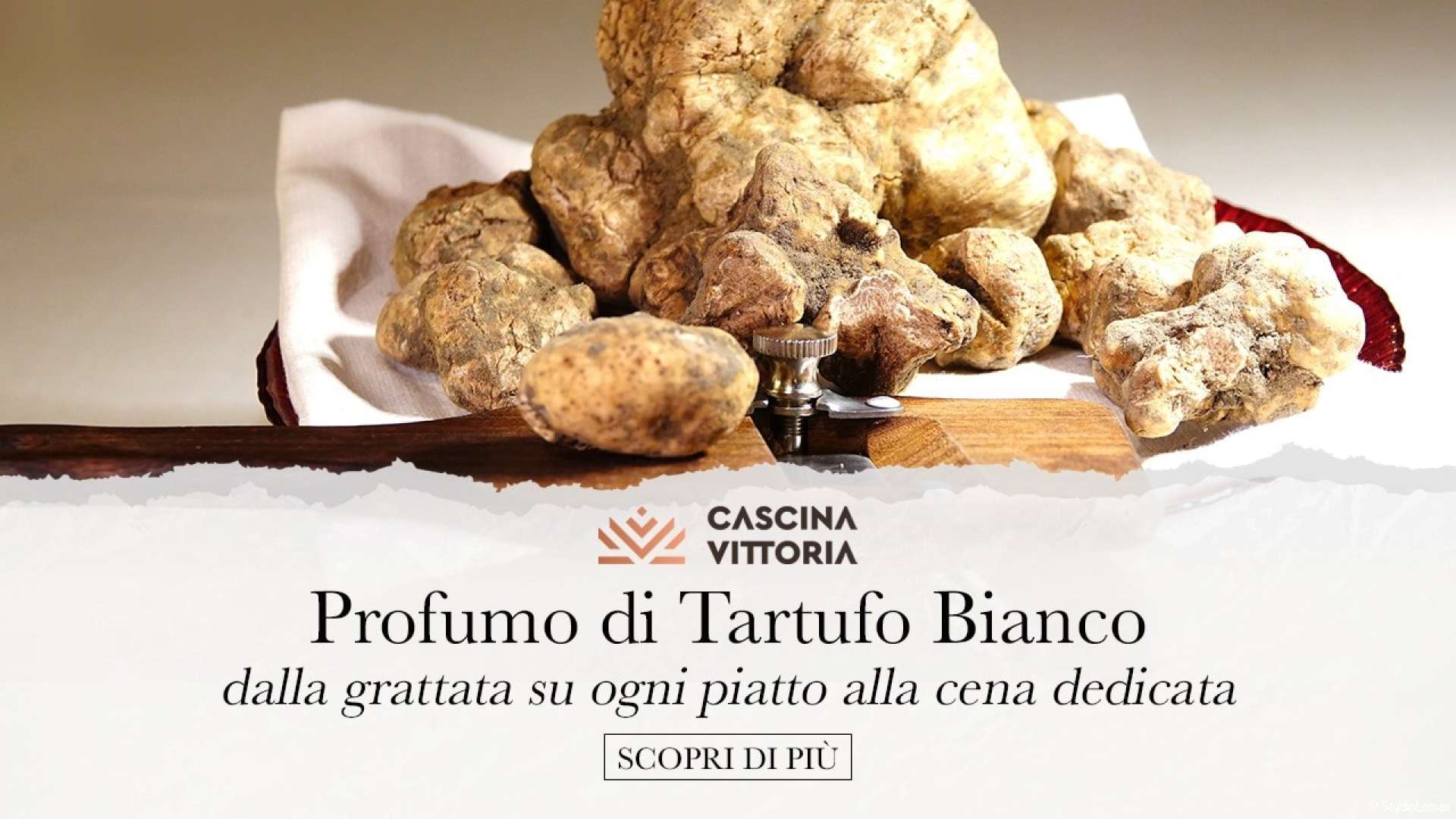 MENU TARTUFO BIANCO