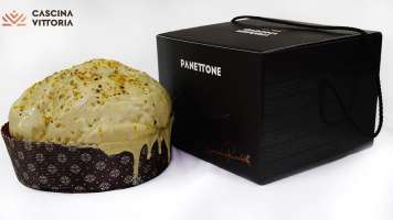 Panettone Artigianale al Pistacchio di Bronte