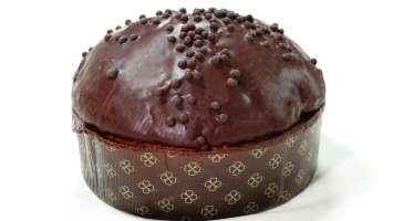 PANETTONE TUTTO CIOCCOLATO 1KG